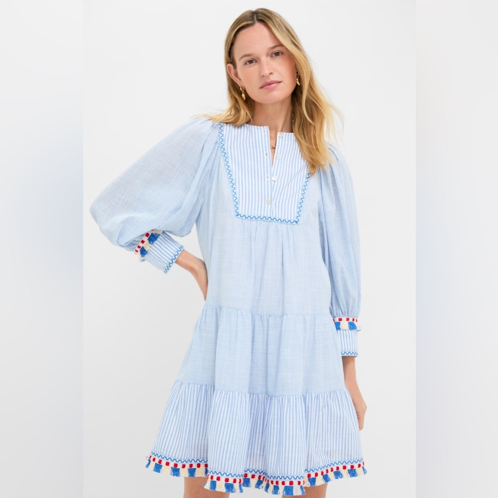 Tuckernuck Blue and White Striped Button-Front Top with Trim